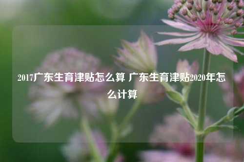 2017广东生育津贴怎么算 广东生育津贴2020年怎么计算