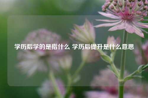 学历后学的是指什么 学历后提升是什么意思