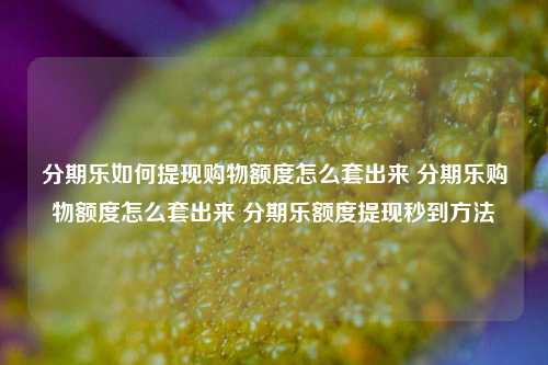 分期乐如何提现购物额度怎么套出来 分期乐购物额度怎么套出来 分期乐额度提现秒到方法