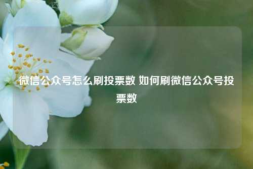 微信公众号怎么刷投票数 如何刷微信公众号投票数