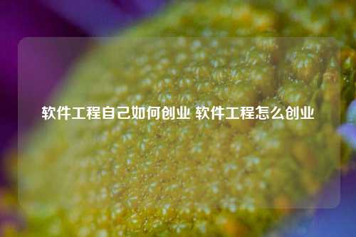 软件工程自己如何创业 软件工程怎么创业