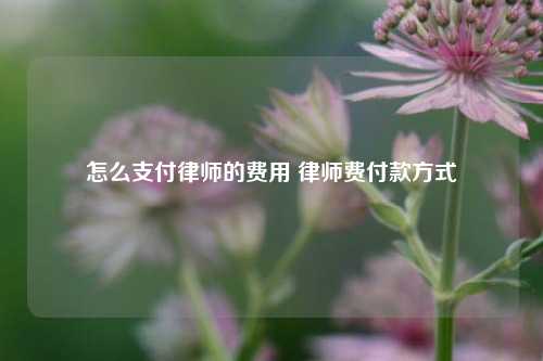 怎么支付律师的费用 律师费付款方式