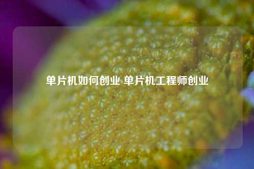 单片机如何创业 单片机工程师创业