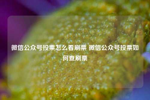 微信公众号投票怎么看刷票 微信公众号投票如何查刷票