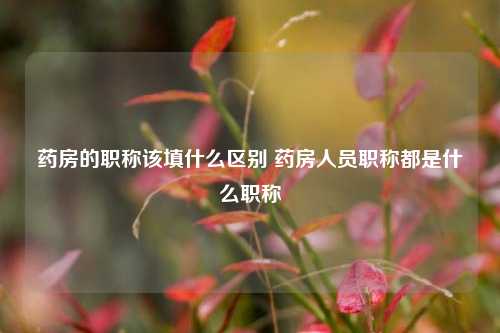 药房的职称该填什么区别 药房人员职称都是什么职称