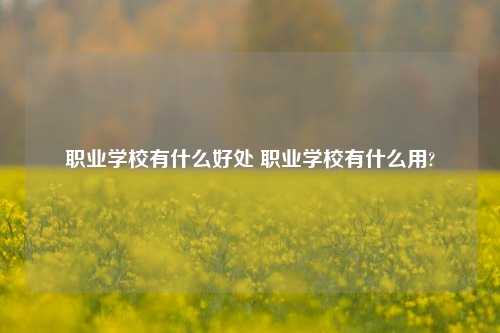 职业学校有什么好处 职业学校有什么用?