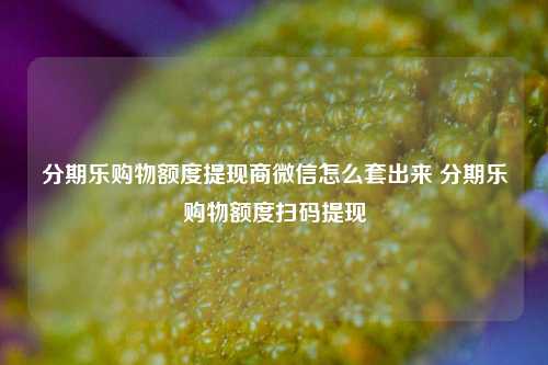 分期乐购物额度提现商微信怎么套出来 分期乐购物额度扫码提现