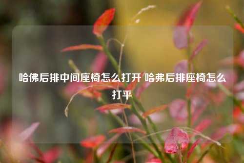 哈佛后排中间座椅怎么打开 哈弗后排座椅怎么打平