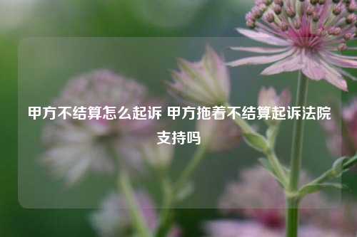 甲方不结算怎么起诉 甲方拖着不结算起诉法院支持吗