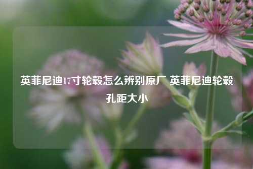 英菲尼迪17寸轮毂怎么辨别原厂 英菲尼迪轮毂孔距大小