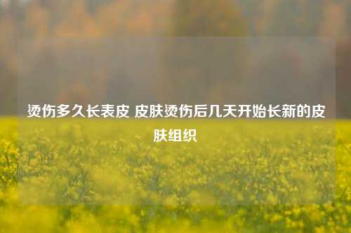 烫伤多久长表皮 皮肤烫伤后几天开始长新的皮肤组织