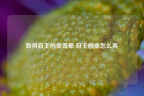 如何自主创业签单 自主创业怎么弄