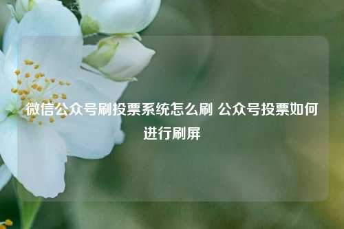 微信公众号刷投票系统怎么刷 公众号投票如何进行刷屏