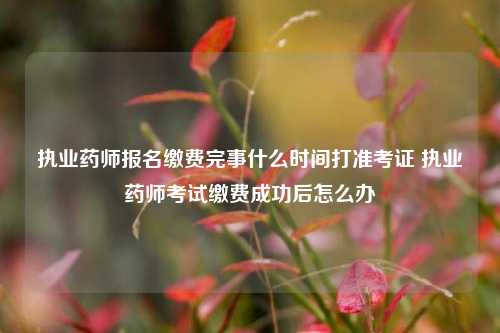 执业药师报名缴费完事什么时间打准考证 执业药师考试缴费成功后怎么办