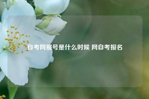 自考网报号是什么时候 网自考报名