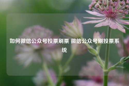 如何微信公众号投票刷票 微信公众号刷投票系统