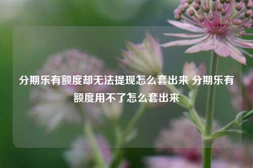 分期乐有额度却无法提现怎么套出来 分期乐有额度用不了怎么套出来