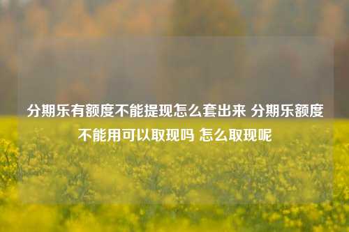 分期乐有额度不能提现怎么套出来 分期乐额度不能用可以取现吗 怎么取现呢