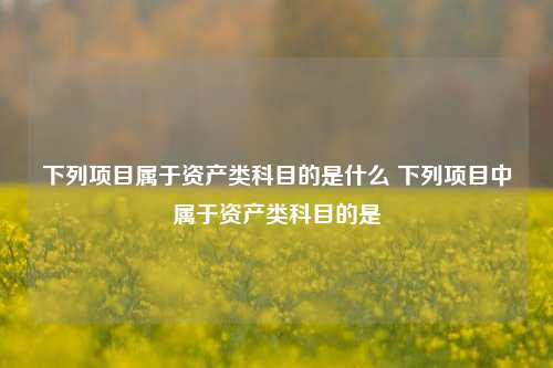 下列项目属于资产类科目的是什么 下列项目中属于资产类科目的是