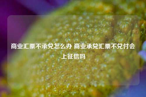 商业汇票不承兑怎么办 商业承兑汇票不兑付会上征信吗