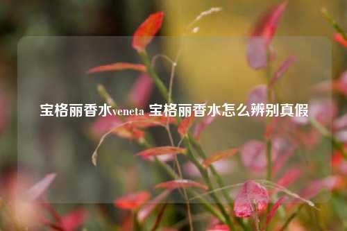 宝格丽香水veneta 宝格丽香水怎么辨别真假