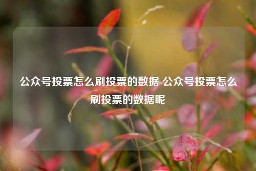 公众号投票怎么刷投票的数据 公众号投票怎么刷投票的数据呢