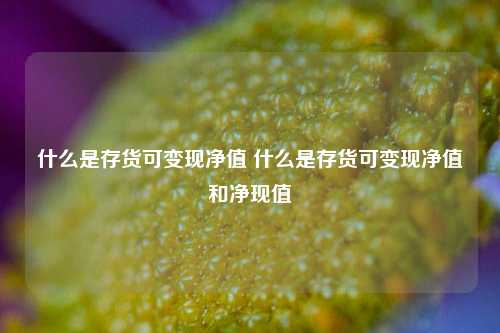 什么是存货可变现净值 什么是存货可变现净值和净现值