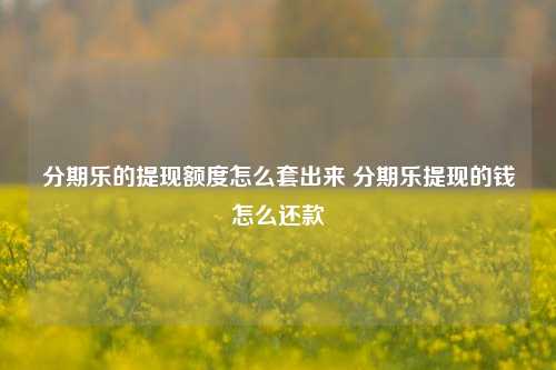 分期乐的提现额度怎么套出来 分期乐提现的钱怎么还款