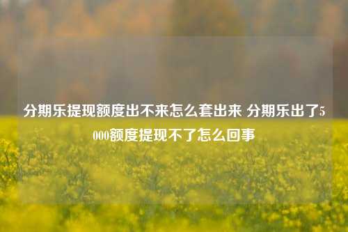 分期乐提现额度出不来怎么套出来 分期乐出了5000额度提现不了怎么回事