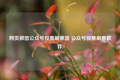 网页微信公众号投票刷票器 公众号投票刷票软件