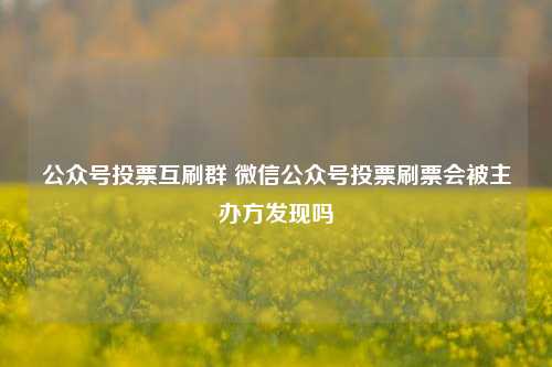 公众号投票互刷群 微信公众号投票刷票会被主办方发现吗