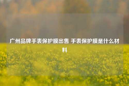 广州品牌手表保护膜出售 手表保护膜是什么材料