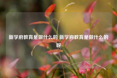 新学府教育是做什么的 新学府教育是做什么的呀