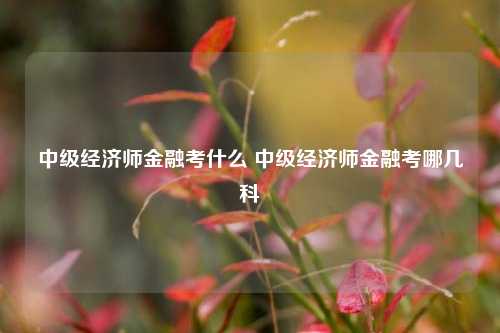 中级经济师金融考什么 中级经济师金融考哪几科