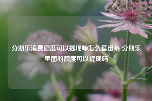 分期乐消费额度可以提现嘛怎么套出来 分期乐里面的额度可以提现吗