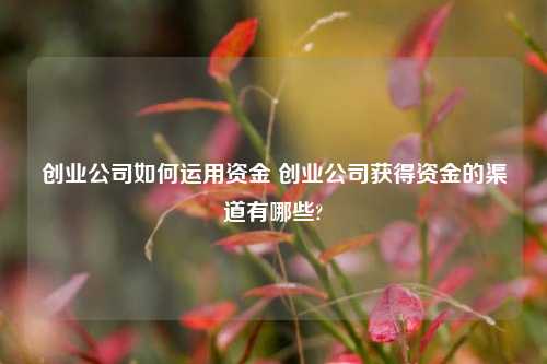 创业公司如何运用资金 创业公司获得资金的渠道有哪些?