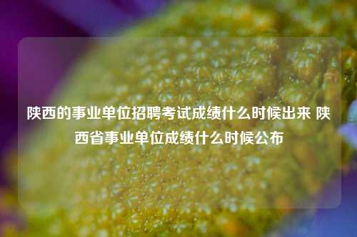 陕西的事业单位招聘考试成绩什么时候出来 陕西省事业单位成绩什么时候公布