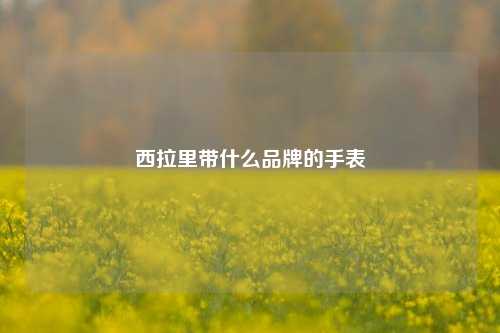 西拉里带什么品牌的手表