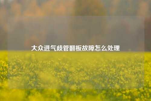 大众进气歧管翻板故障怎么处理