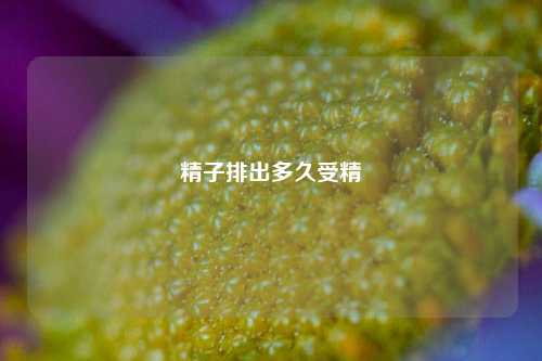 精子排出多久受精