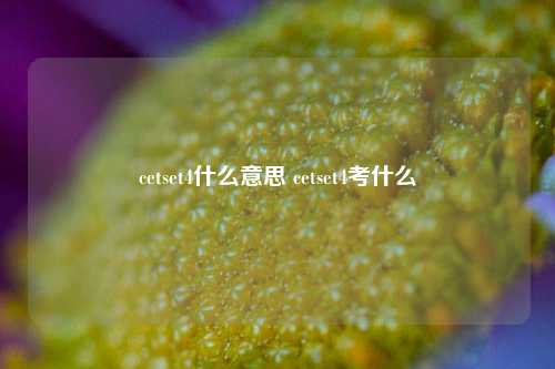 cetset4什么意思 cetset4考什么