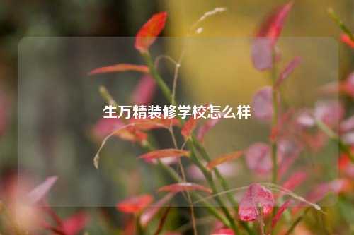 生万精装修学校怎么样