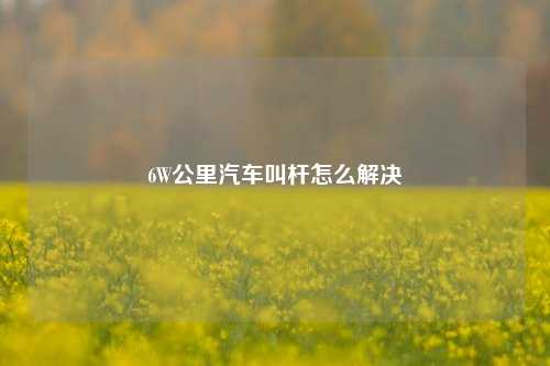 6W公里汽车叫杆怎么解决