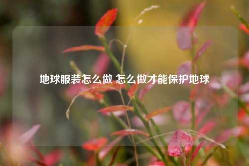 地球服装怎么做 怎么做才能保护地球