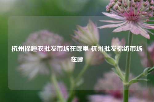杭州棉睡衣批发市场在哪里 杭州批发棉纺市场在哪