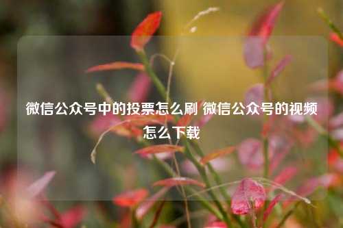 微信公众号中的投票怎么刷 微信公众号的视频怎么下载