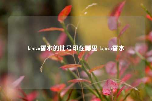 kenzo香水的批号印在哪里 kenzo香水