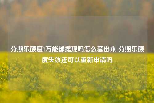 分期乐额度1万能都提现吗怎么套出来 分期乐额度失效还可以重新申请吗