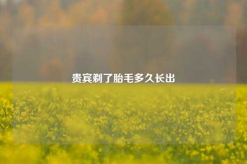 贵宾剃了胎毛多久长出