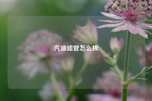 汽油滤管怎么拔